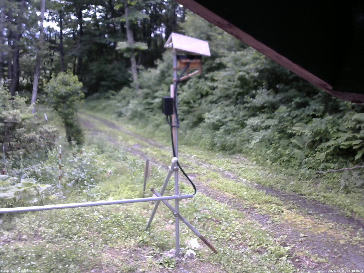 長野県菅平高原 ゆたか山荘 南側 2026/07/04 08:45