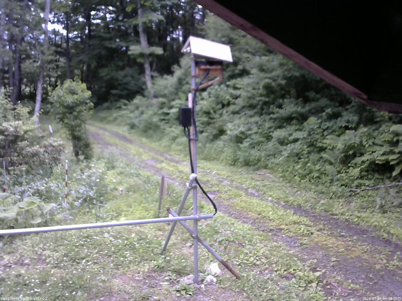 長野県菅平高原 ゆたか山荘 南側 2026/07/04 09:45