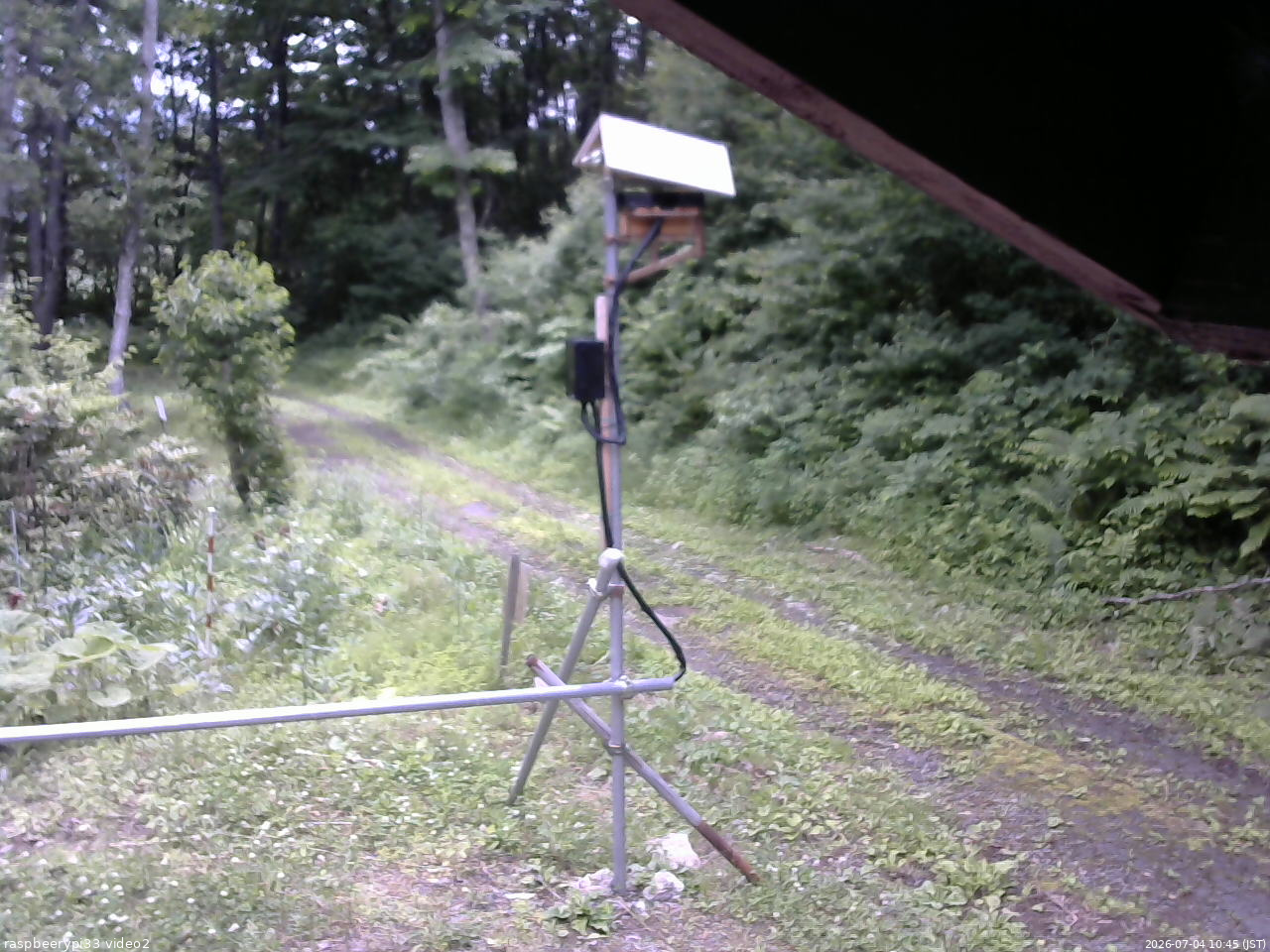 長野県菅平高原 ゆたか山荘 南側 2026/07/04 10:45