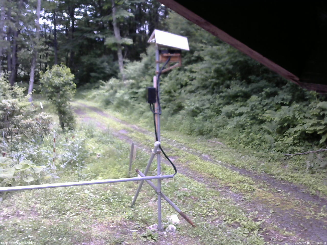 長野県菅平高原 ゆたか山荘 南側 2026/07/04 11:30