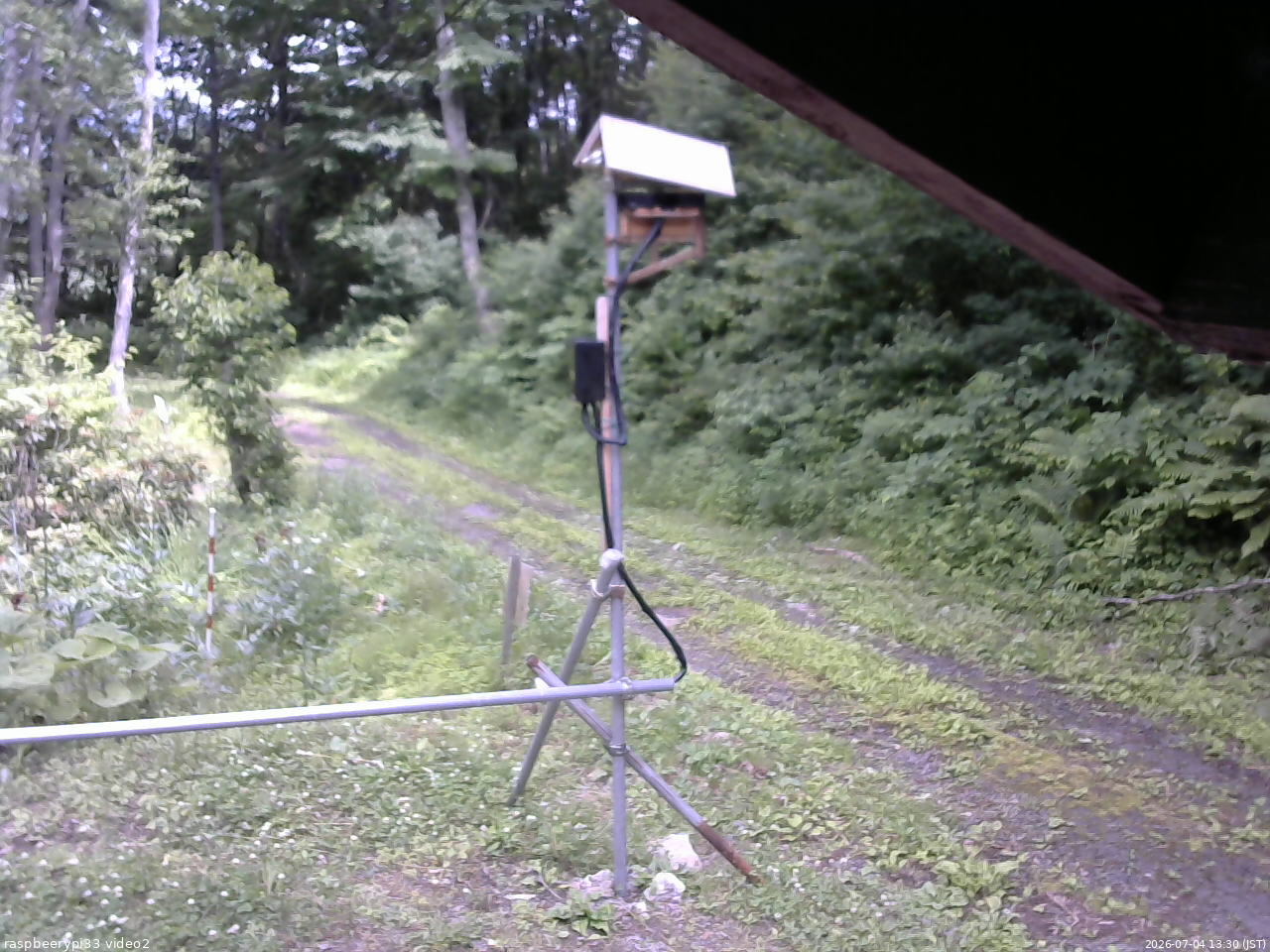 長野県菅平高原 ゆたか山荘 南側 2026/07/04 13:30