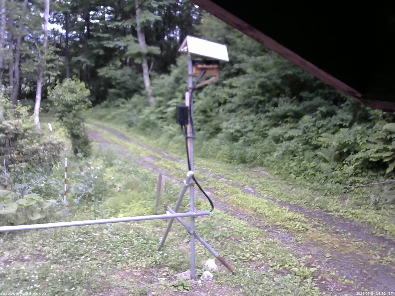 長野県菅平高原 ゆたか山荘 南側 2026/07/04 14:30