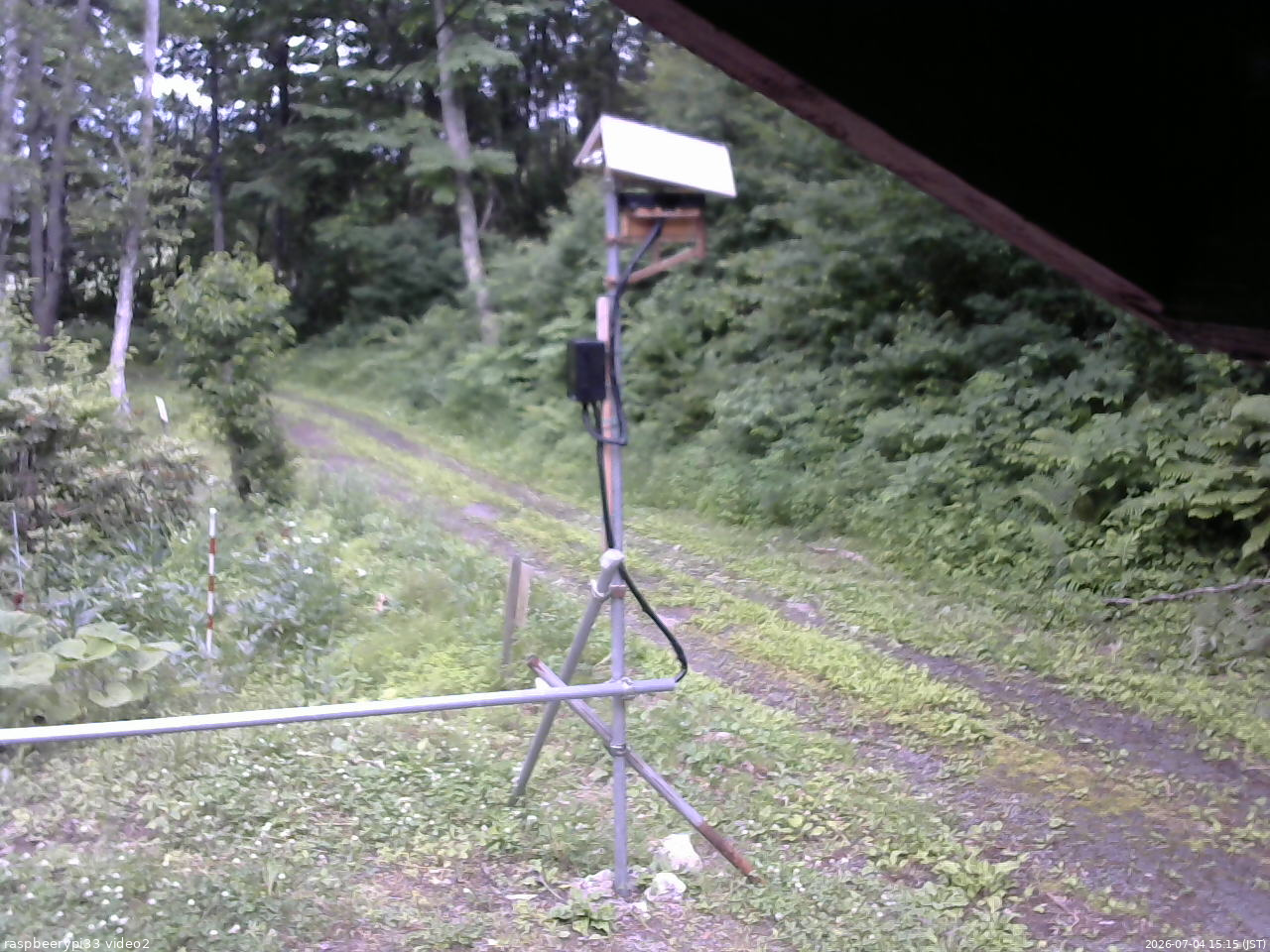 長野県菅平高原 ゆたか山荘 南側 2026/07/04 15:15