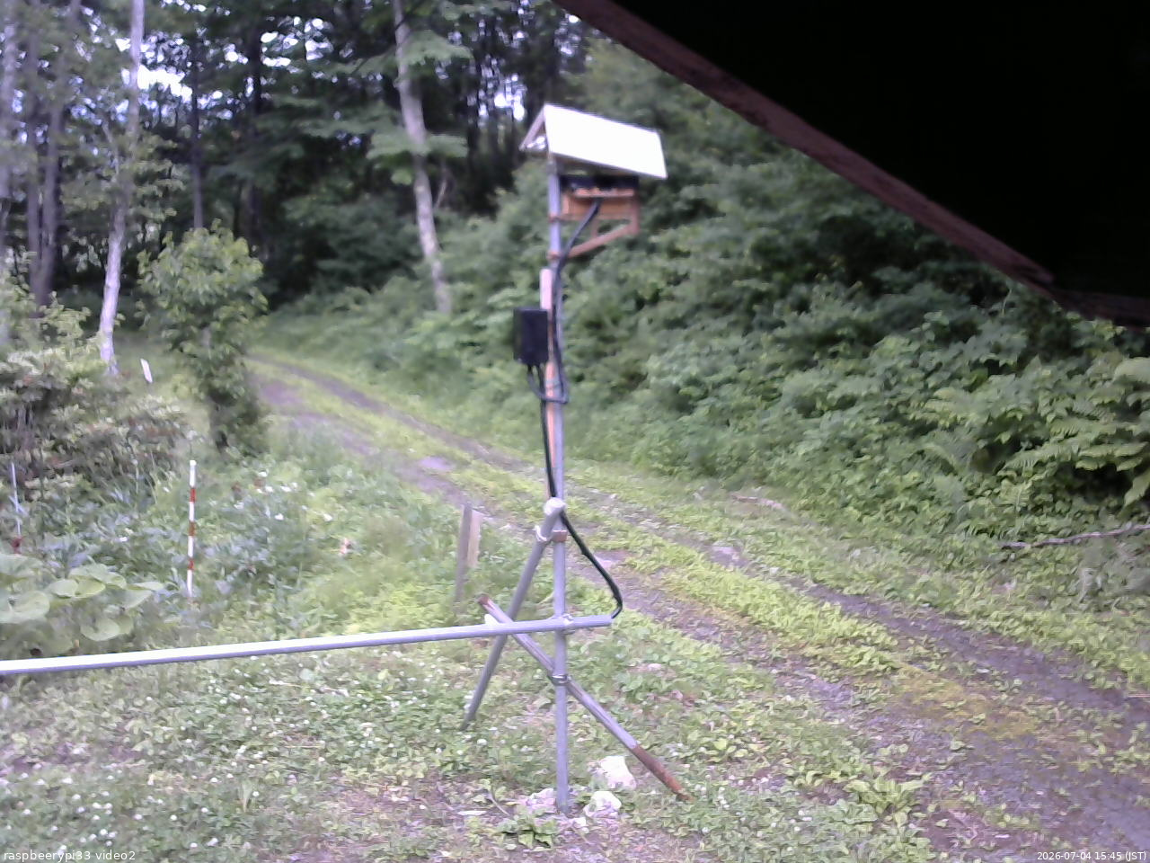長野県菅平高原 ゆたか山荘 南側 2026/07/04 15:45