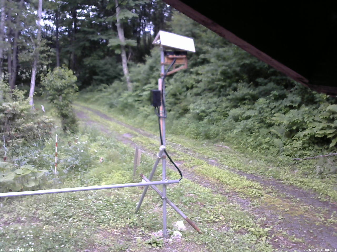 長野県菅平高原 ゆたか山荘 南側 2026/07/04 16:00
