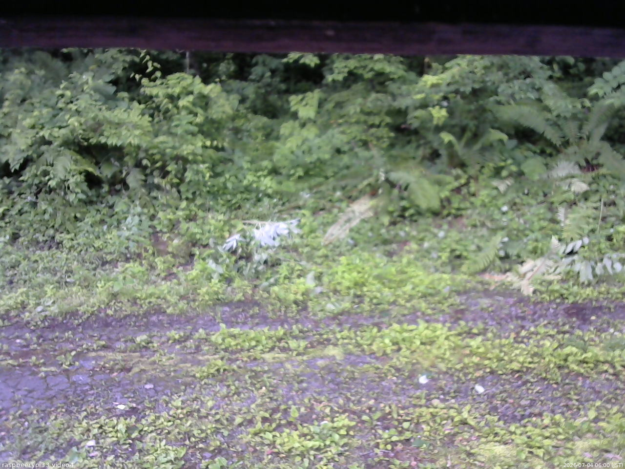 長野県菅平高原 ゆたか山荘 東側(坂下) 2026/07/04 06:00
