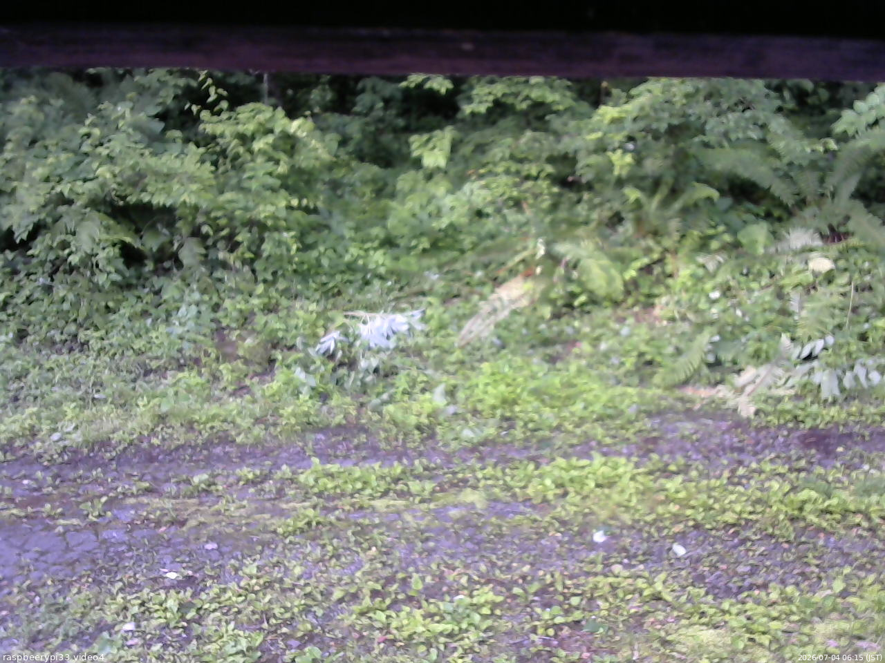 長野県菅平高原 ゆたか山荘 東側(坂下) 2026/07/04 06:15