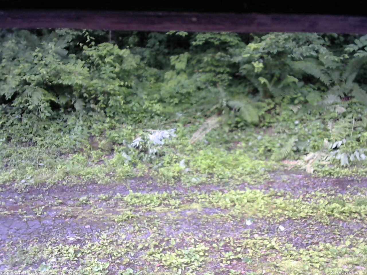 長野県菅平高原 ゆたか山荘 東側(坂下) 2026/07/04 07:30