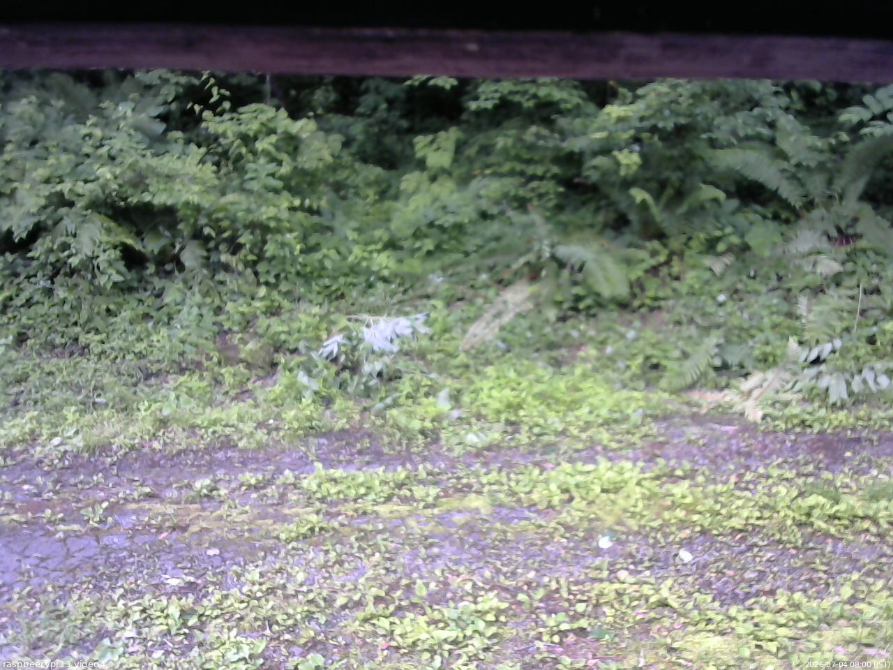 長野県菅平高原 ゆたか山荘 東側(坂下) 2026/07/04 08:00