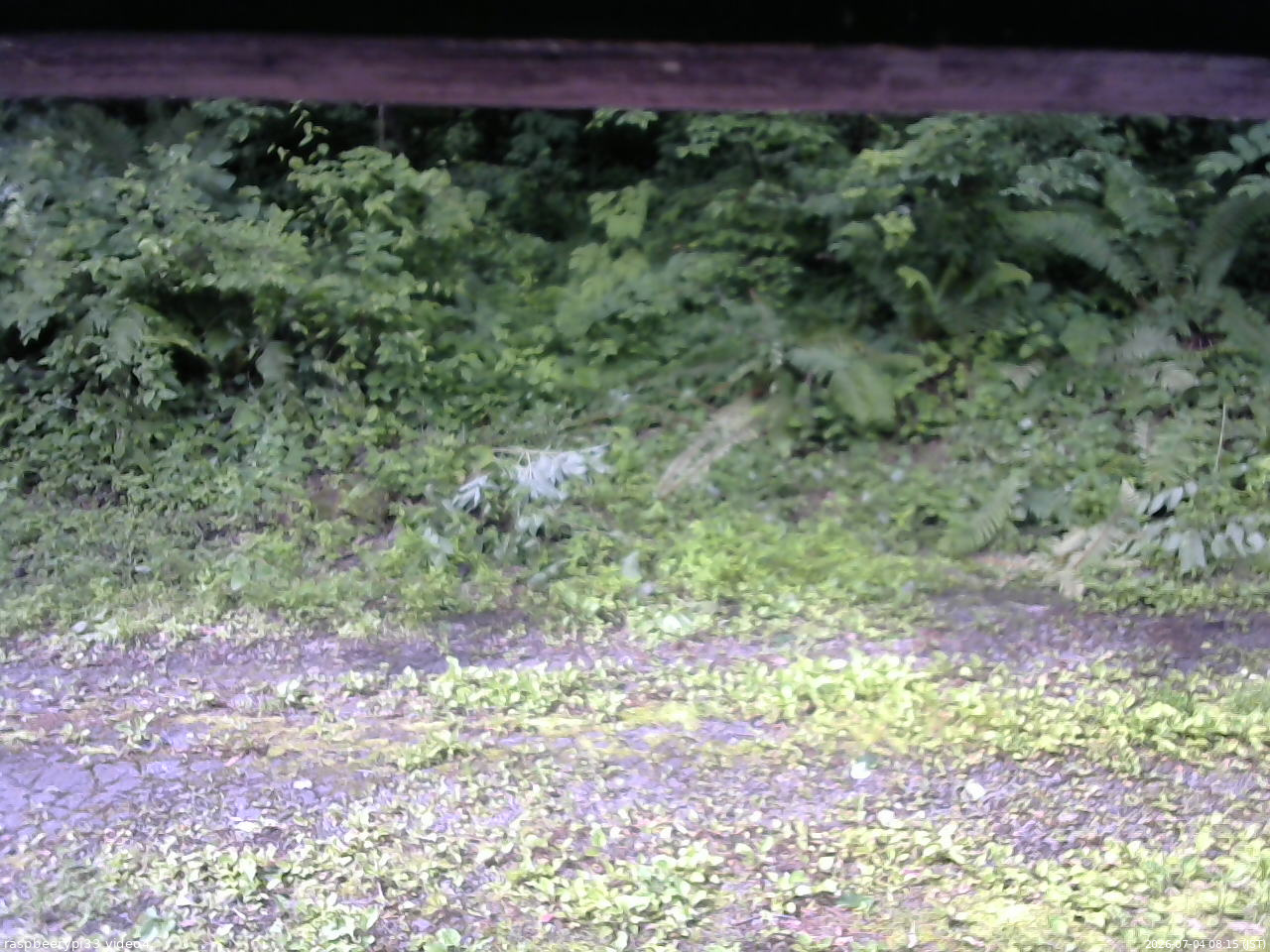 長野県菅平高原 ゆたか山荘 東側(坂下) 2026/07/04 08:15
