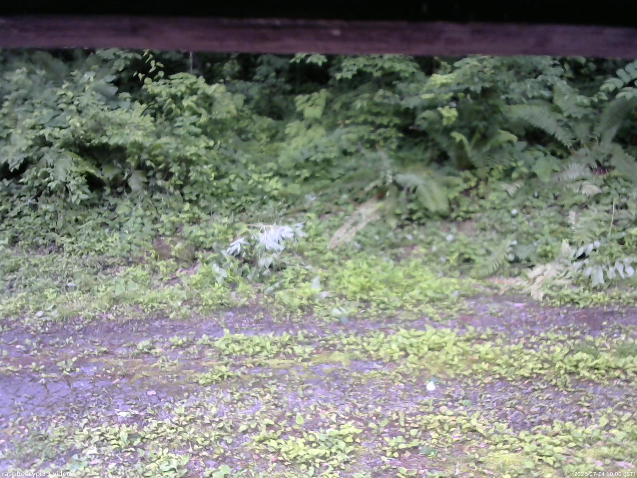 長野県菅平高原 ゆたか山荘 東側(坂下) 2026/07/04 10:00