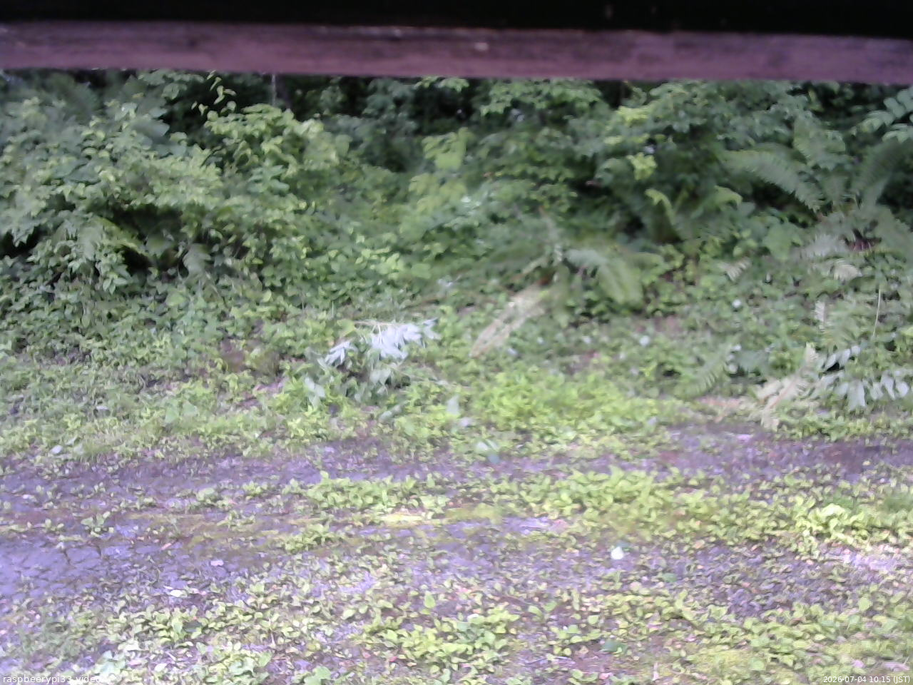 長野県菅平高原 ゆたか山荘 東側(坂下) 2026/07/04 10:15
