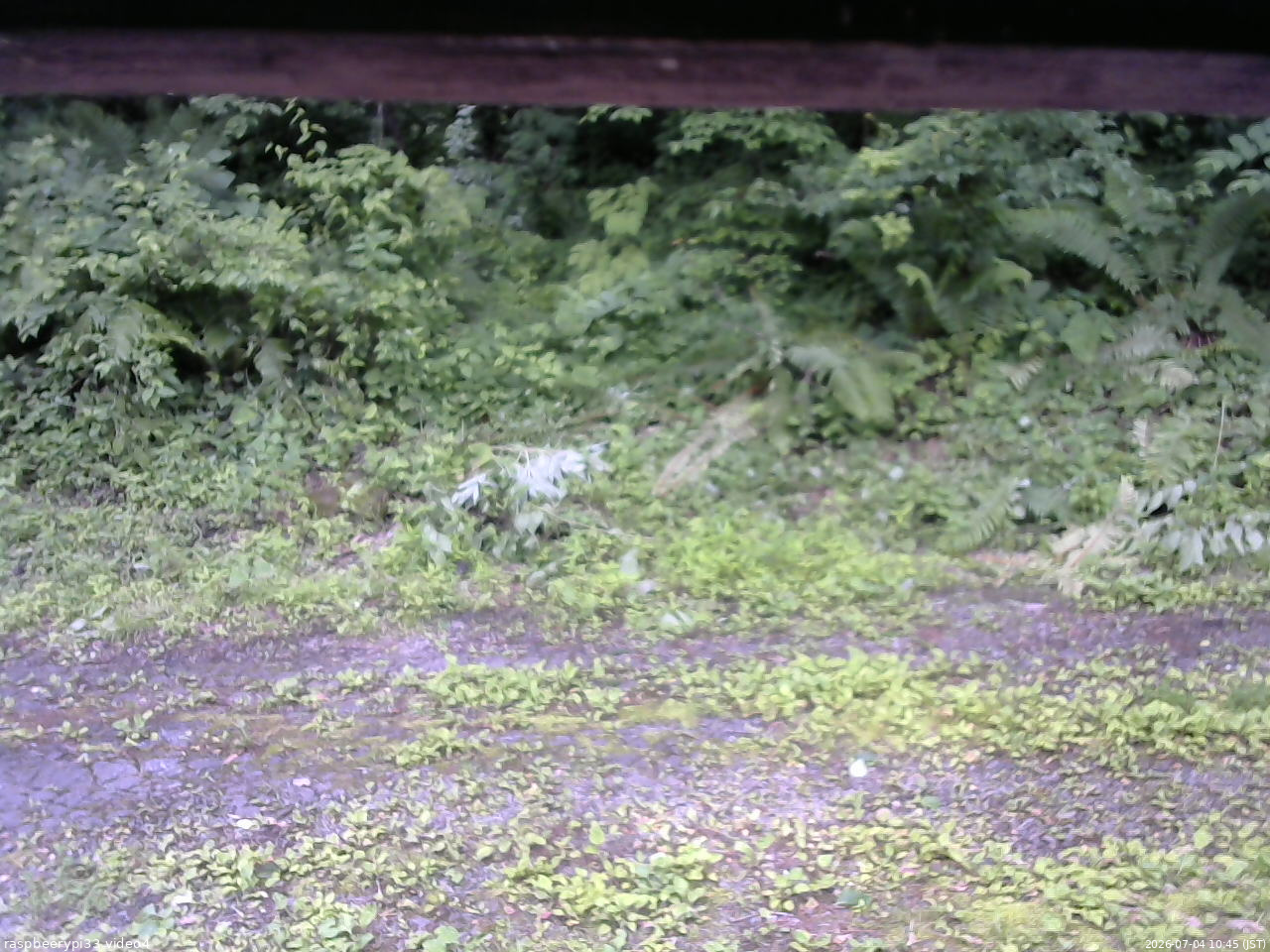長野県菅平高原 ゆたか山荘 東側(坂下) 2026/07/04 10:45