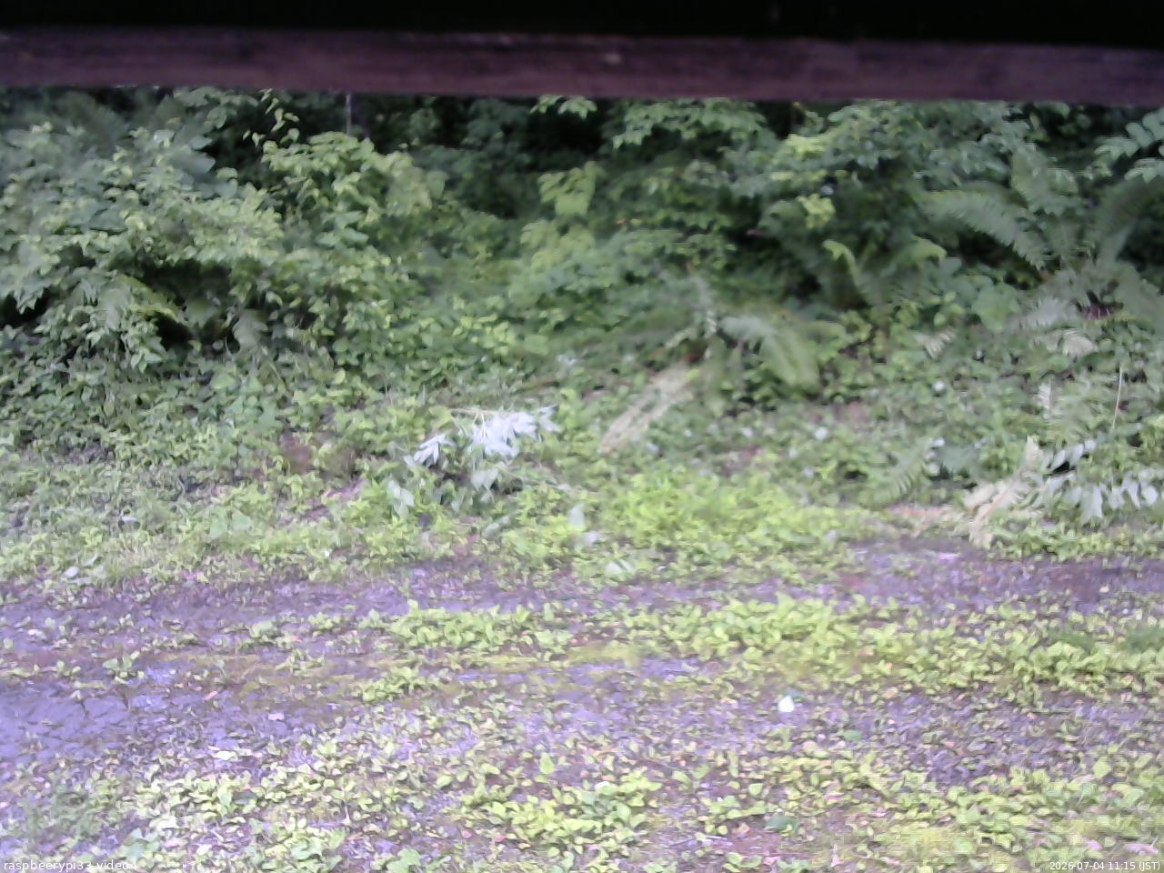 長野県菅平高原 ゆたか山荘 東側(坂下) 2026/07/04 11:15