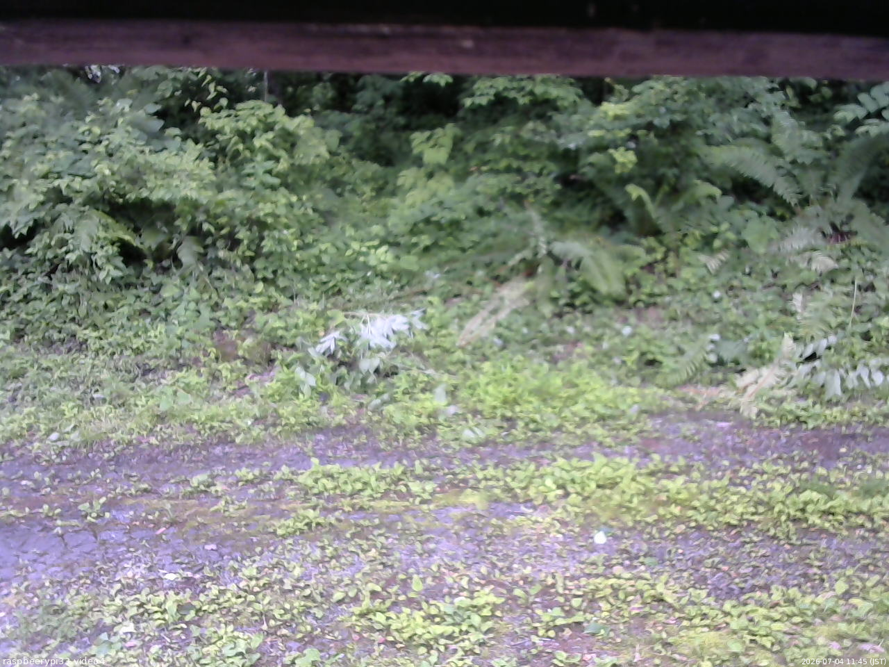 長野県菅平高原 ゆたか山荘 東側(坂下) 2026/07/04 11:45