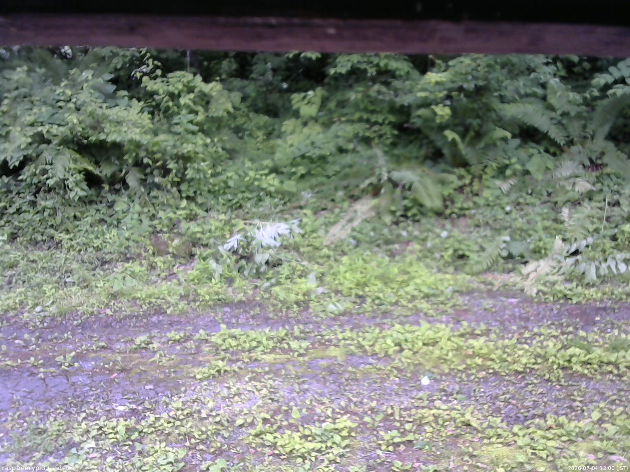 長野県菅平高原 ゆたか山荘 東側(坂下) 2026/07/04 12:00