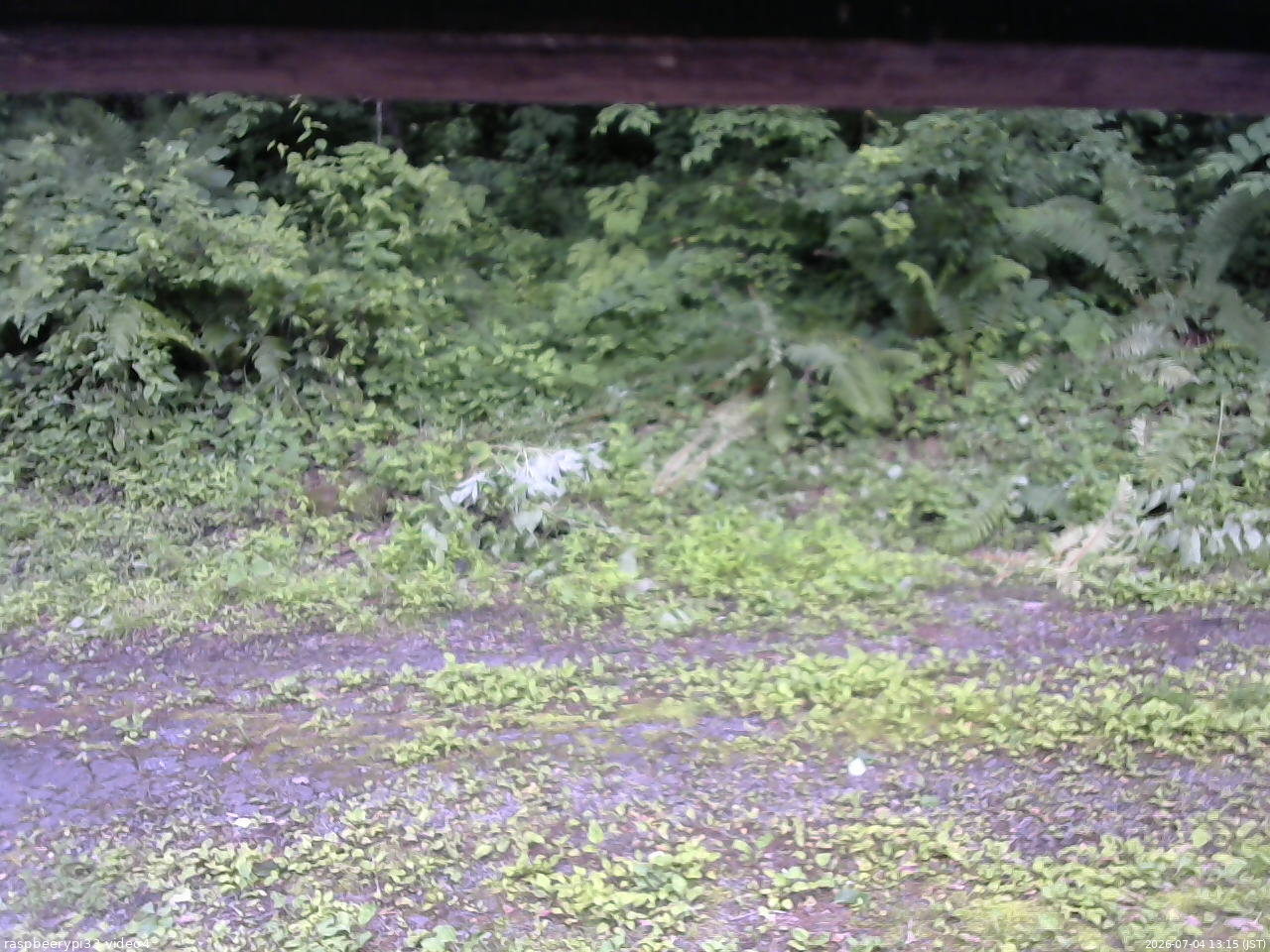 長野県菅平高原 ゆたか山荘 東側(坂下) 2026/07/04 13:15
