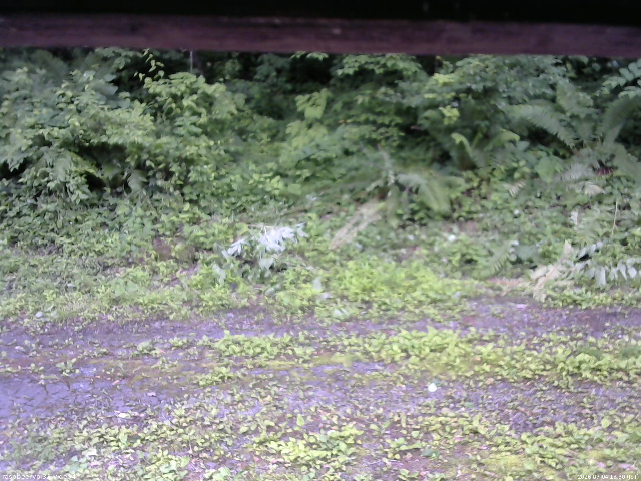 長野県菅平高原 ゆたか山荘 東側(坂下) 2026/07/04 13:30