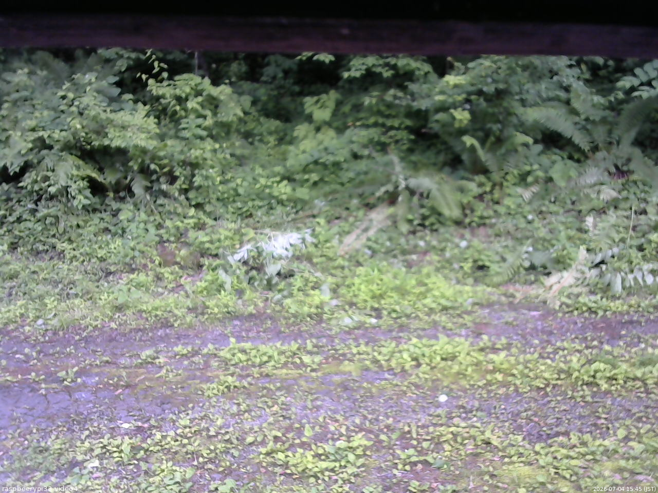 長野県菅平高原 ゆたか山荘 東側(坂下) 2026/07/04 15:45