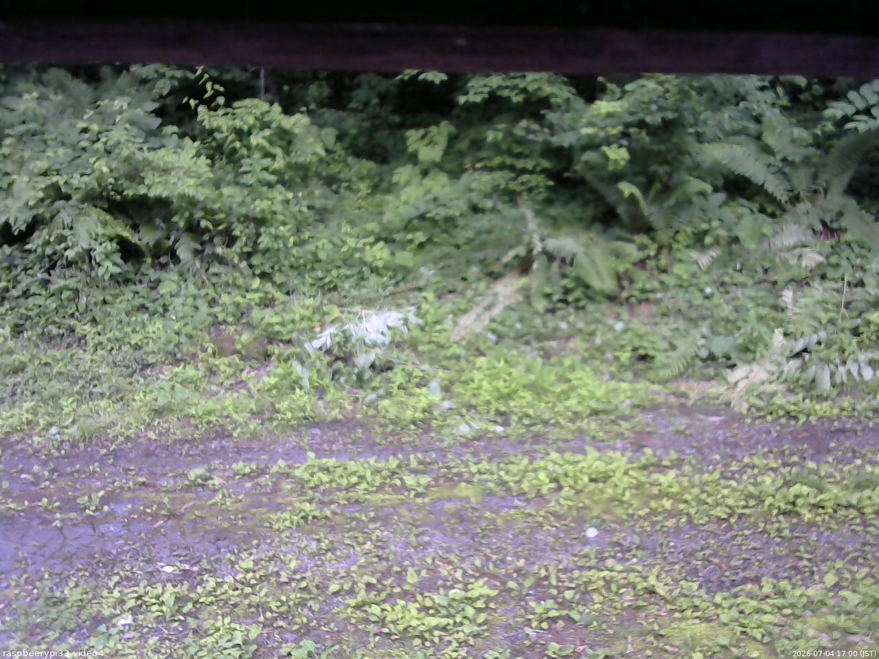 長野県菅平高原 ゆたか山荘 東側(坂下) 2026/07/04 17:00