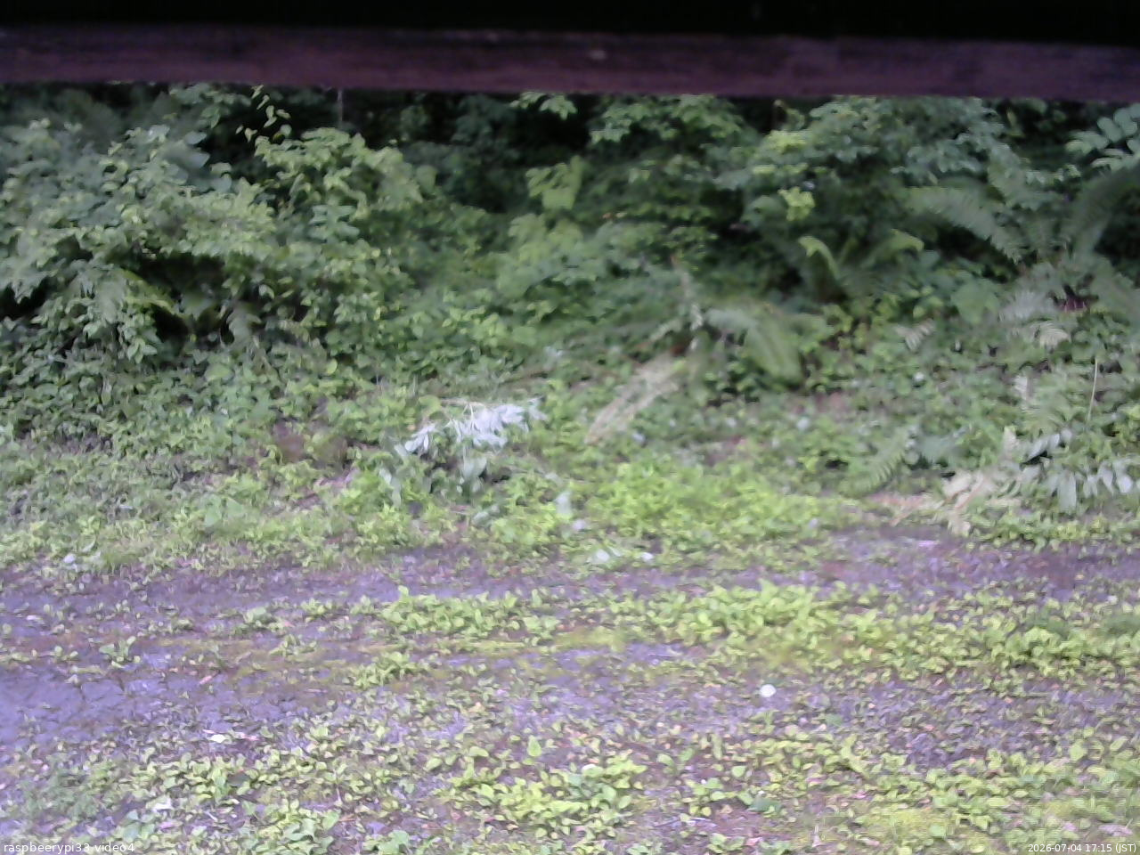 長野県菅平高原 ゆたか山荘 東側(坂下) 2026/07/04 17:15