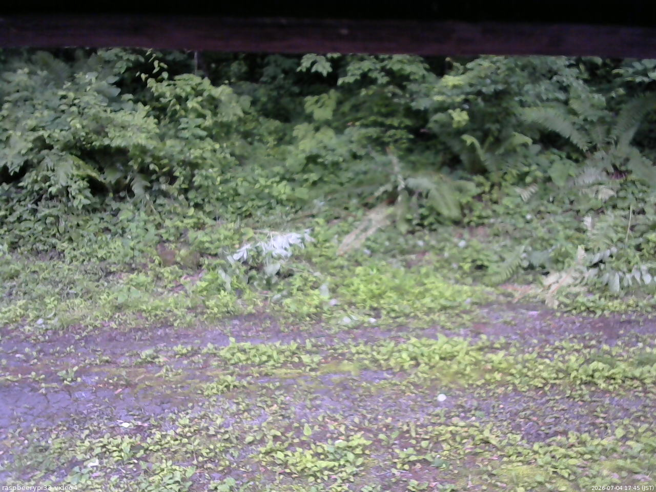 長野県菅平高原 ゆたか山荘 東側(坂下) 2026/07/04 17:45
