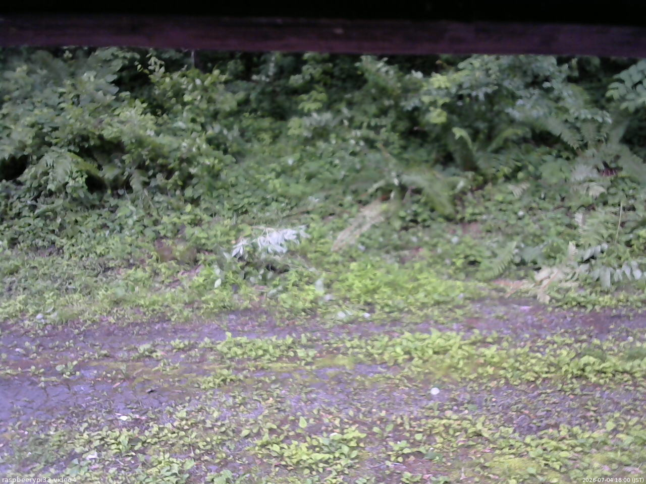 長野県菅平高原 ゆたか山荘 東側(坂下) 2026/07/04 18:00