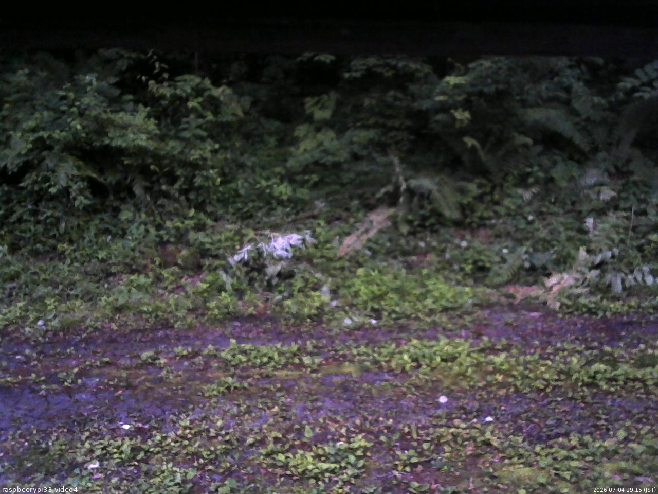 長野県菅平高原 ゆたか山荘 東側(坂下) 2026/07/04 19:15