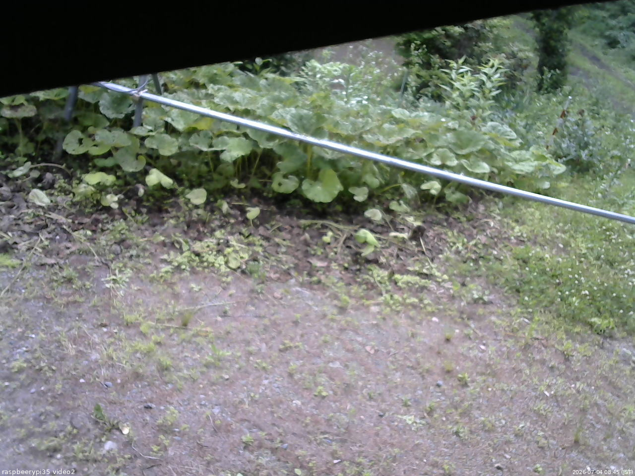 長野県菅平高原 ゆたか山荘 駐車場 2026/07/04 08:45