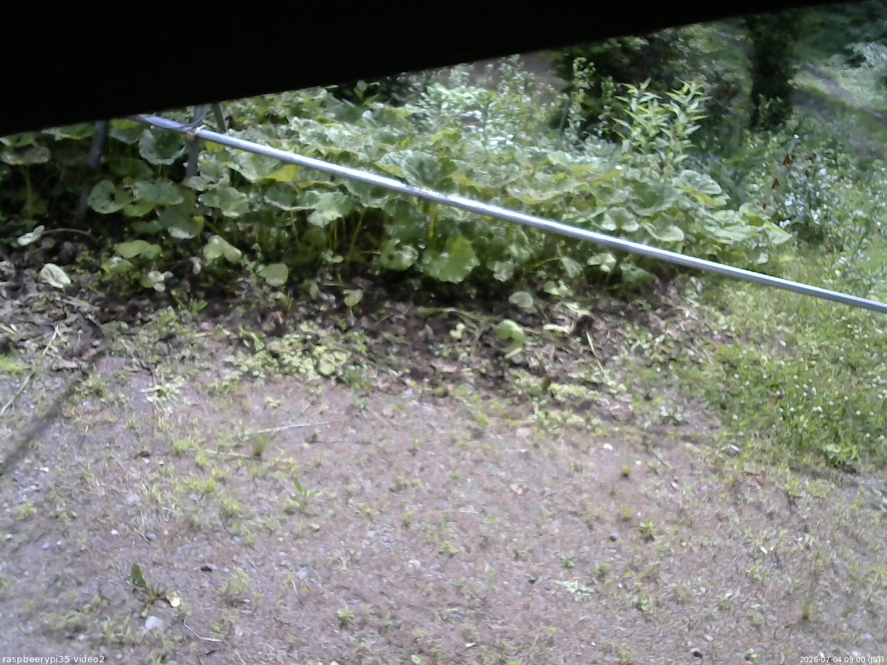 長野県菅平高原 ゆたか山荘 駐車場 2026/07/04 09:00