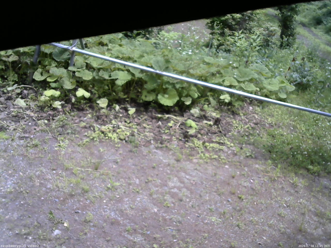 長野県菅平高原 ゆたか山荘 駐車場 2026/07/04 11:45