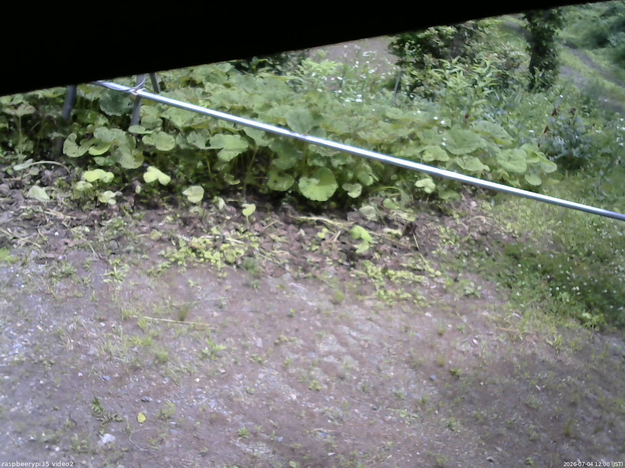 長野県菅平高原 ゆたか山荘 駐車場 2026/07/04 12:00