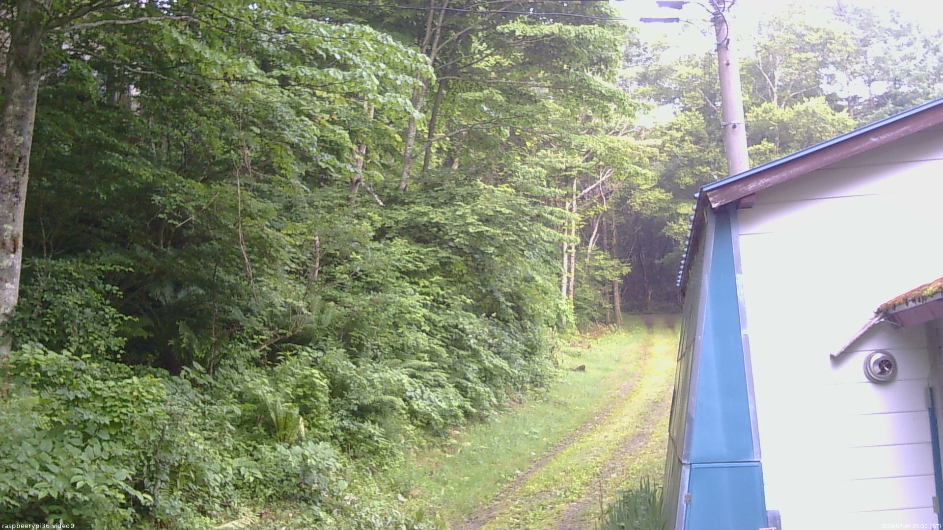 長野県菅平高原 ゆたか山荘 ゆたか山荘 2026/07/04 05:30