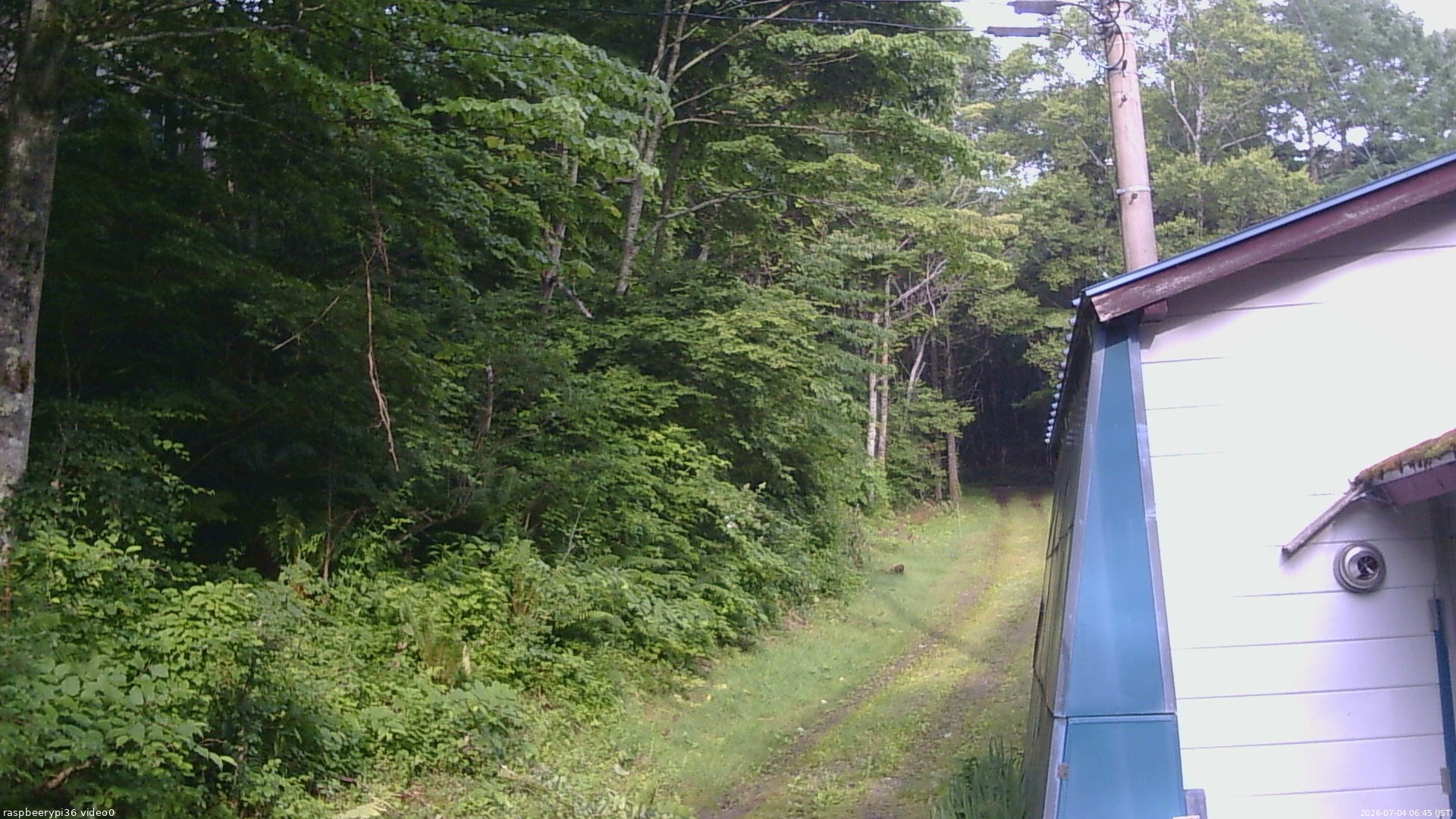 長野県菅平高原 ゆたか山荘 ゆたか山荘 2026/07/04 06:45