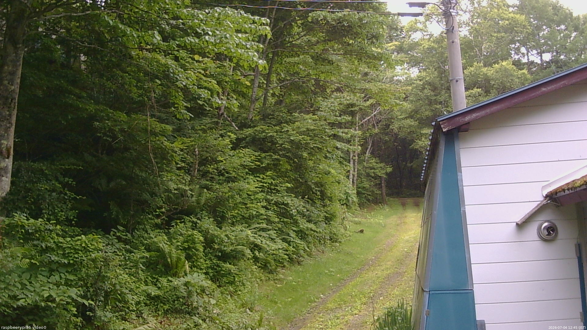 長野県菅平高原 ゆたか山荘 ゆたか山荘 2026/07/04 12:45