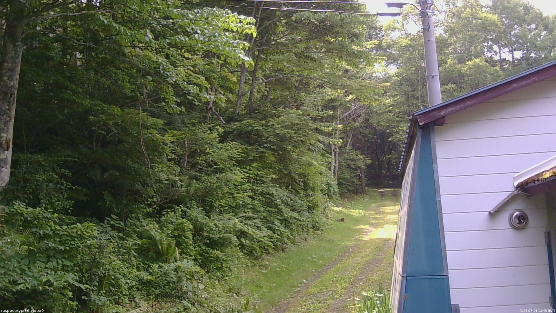 長野県菅平高原 ゆたか山荘 ゆたか山荘 2026/07/04 13:45