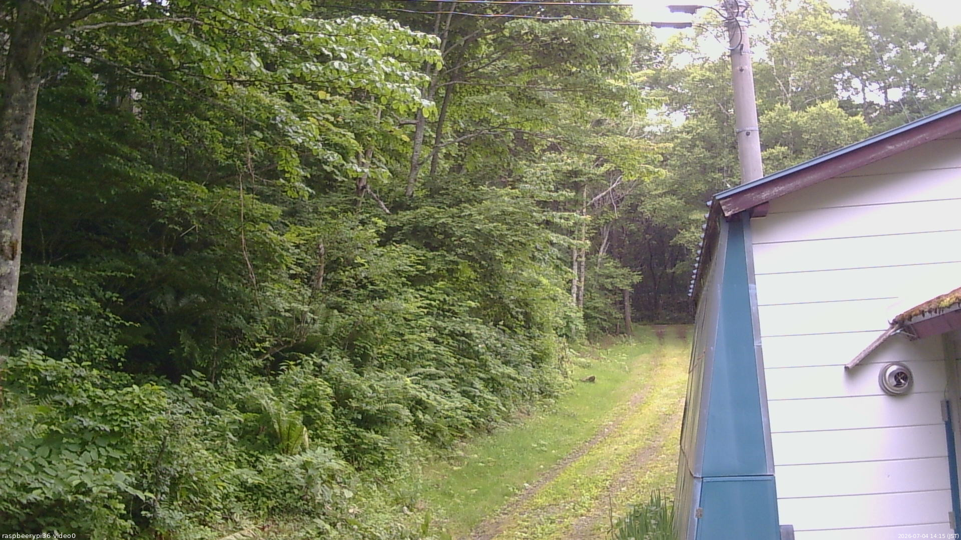 長野県菅平高原 ゆたか山荘 ゆたか山荘 2026/07/04 14:15