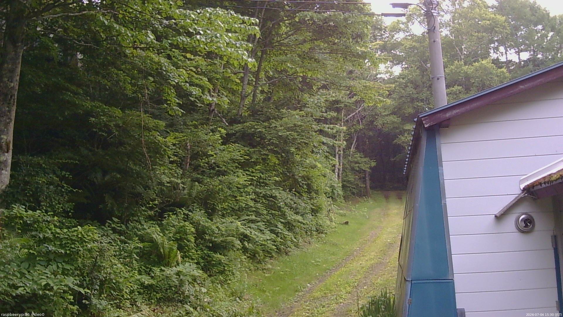 長野県菅平高原 ゆたか山荘 ゆたか山荘 2026/07/04 15:30