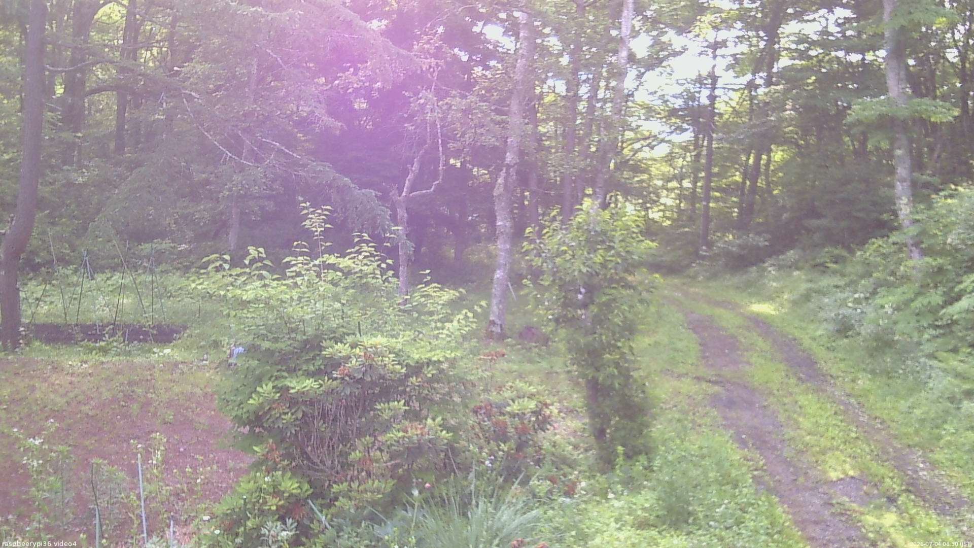 長野県菅平高原 ゆたか山荘 坂上 2026/07/04 06:30