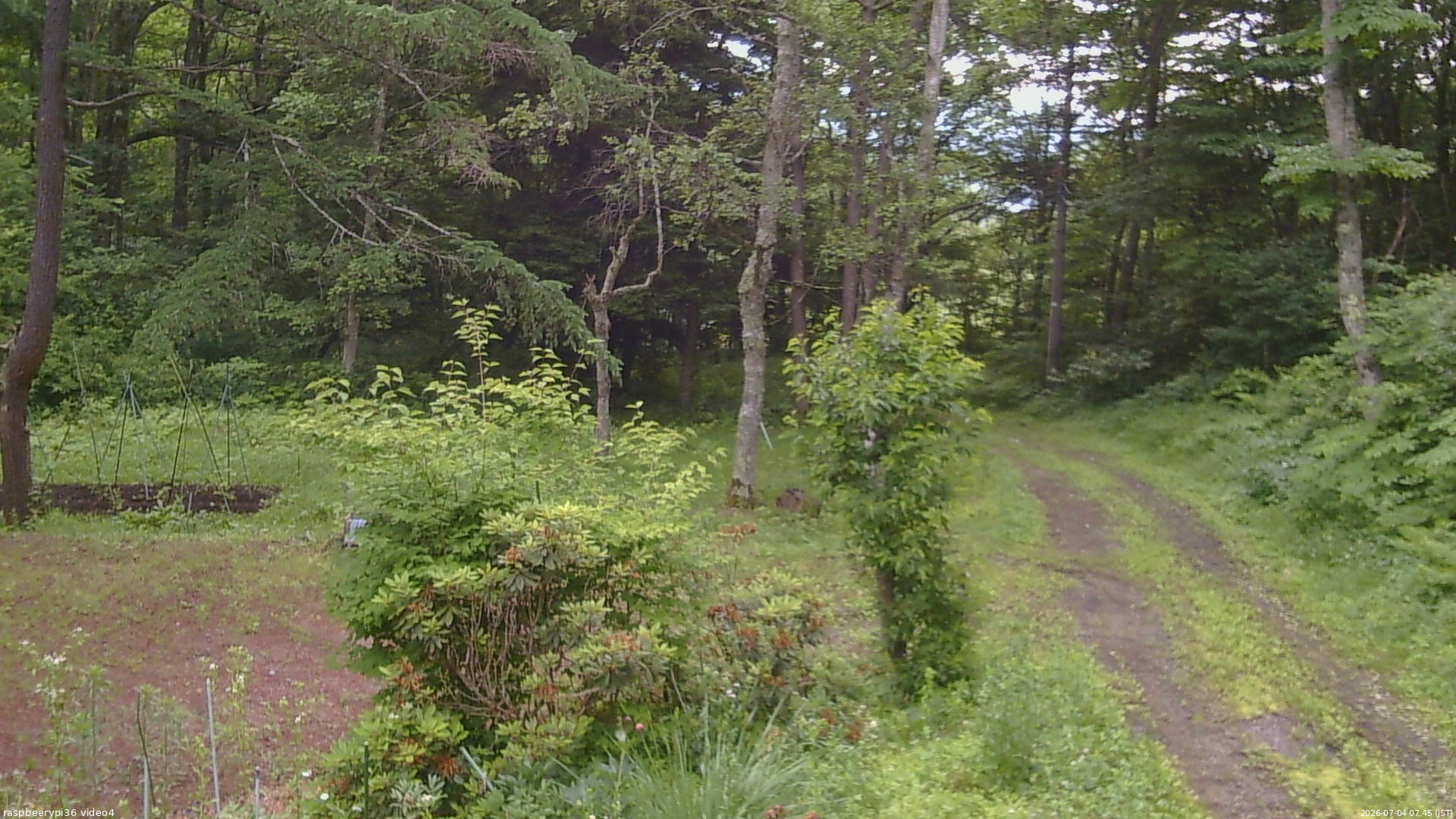 長野県菅平高原 ゆたか山荘 坂上 2026/07/04 07:45