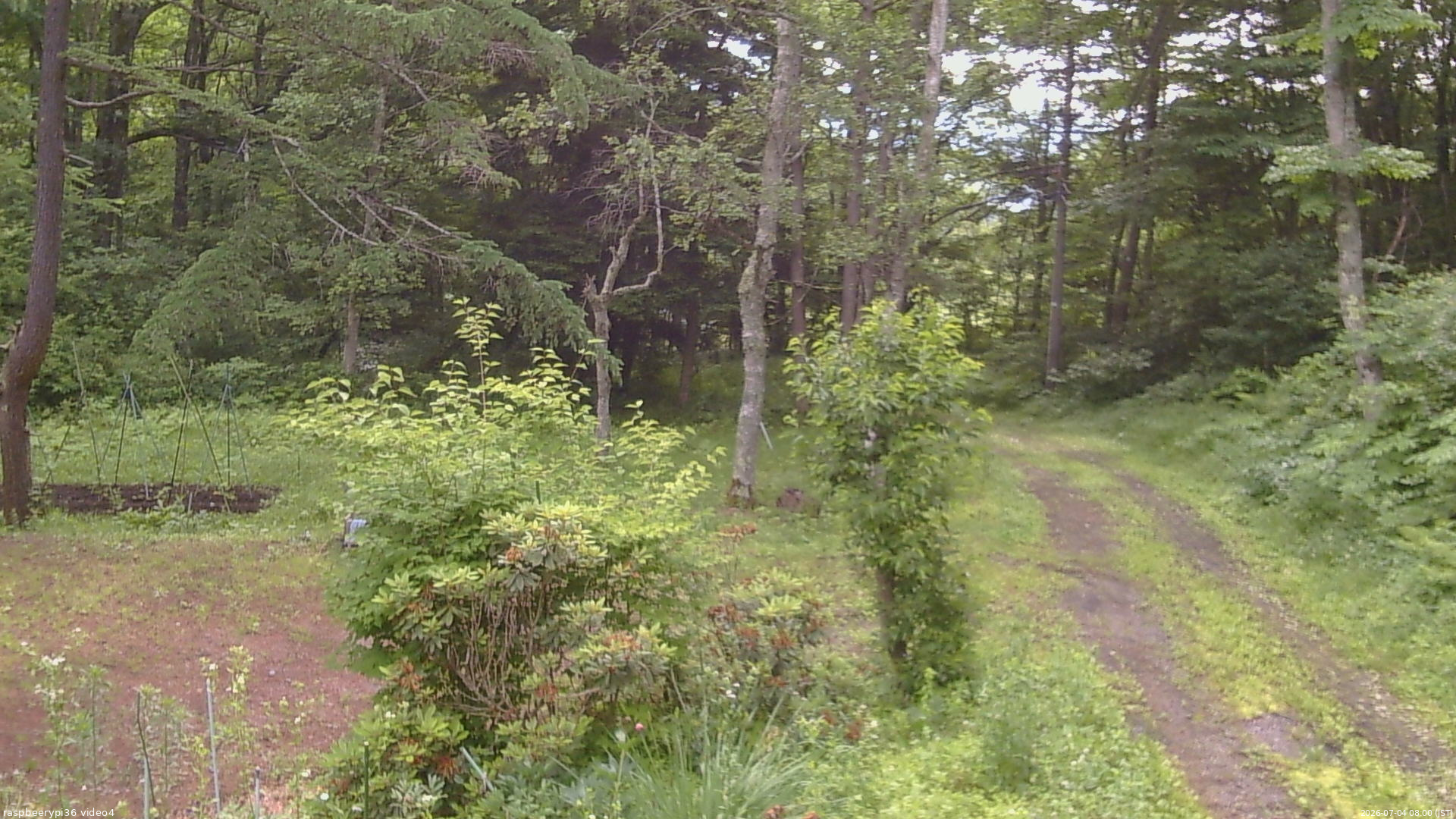 長野県菅平高原 ゆたか山荘 坂上 2026/07/04 08:00