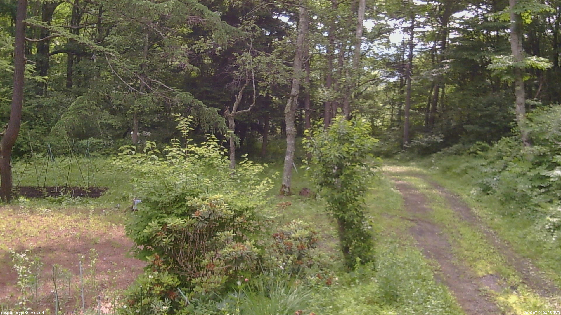 長野県菅平高原 ゆたか山荘 坂上 2026/07/04 08:15