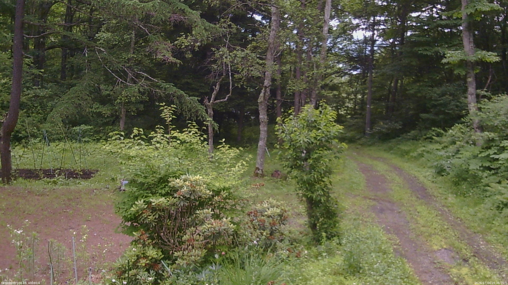 長野県菅平高原 ゆたか山荘 坂上 2026/07/04 09:45