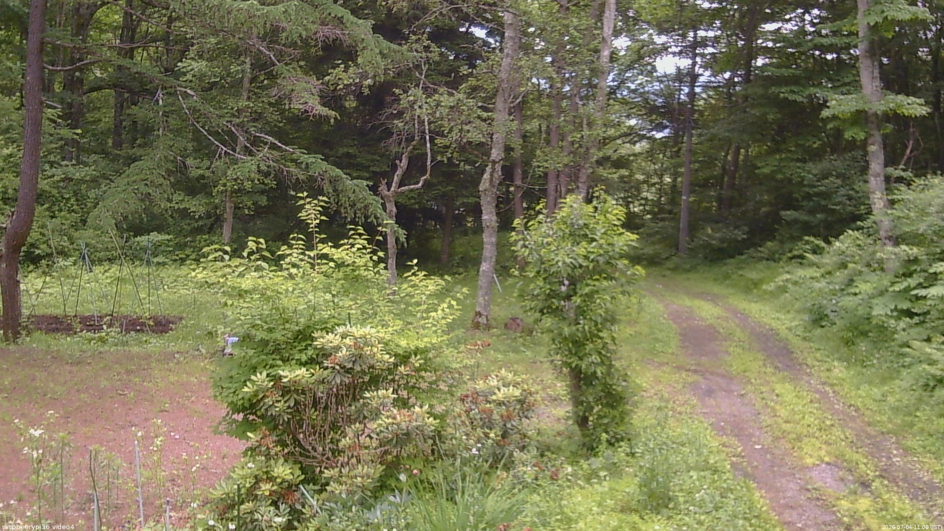 長野県菅平高原 ゆたか山荘 坂上 2026/07/04 11:00