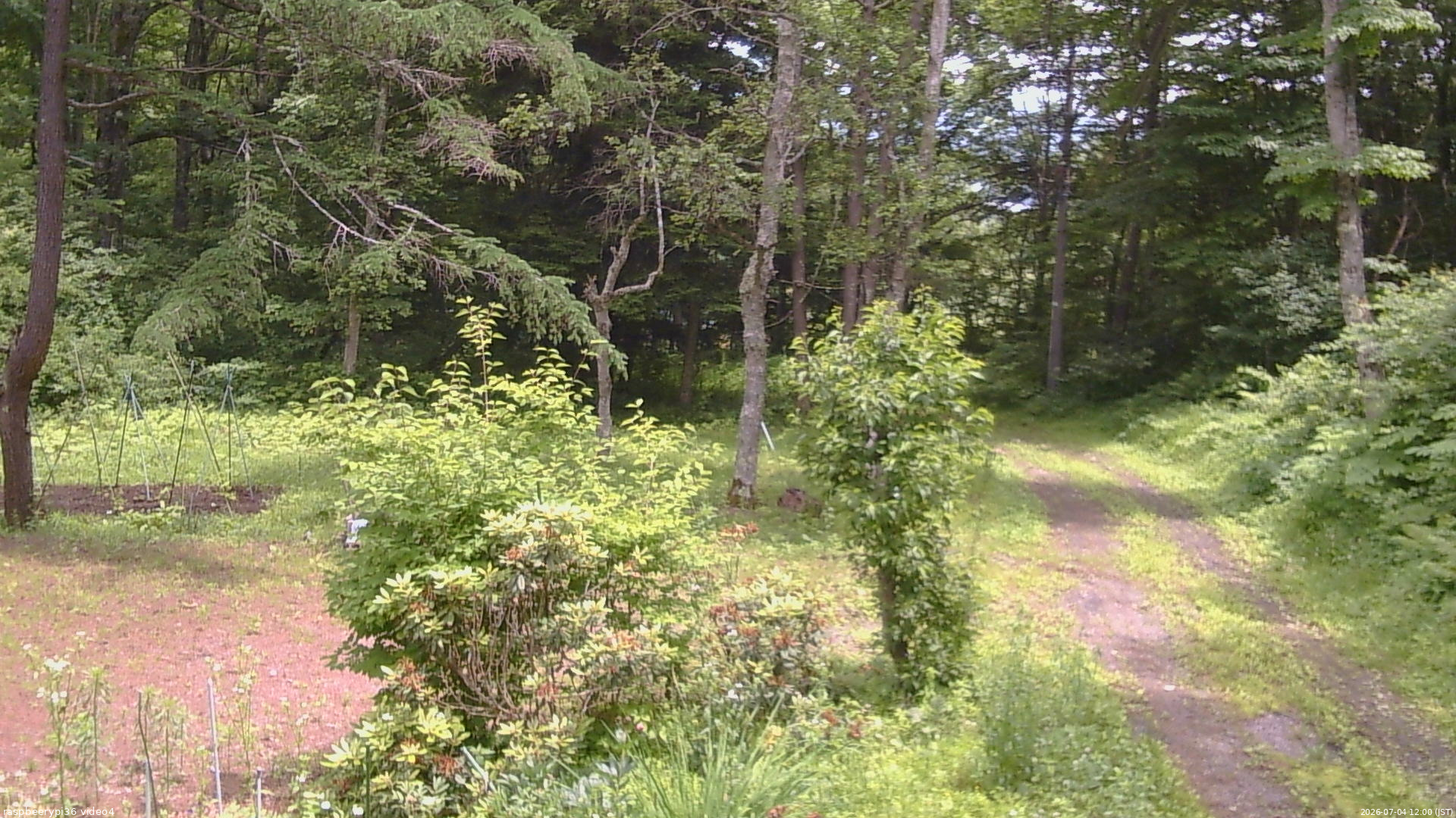 長野県菅平高原 ゆたか山荘 坂上 2026/07/04 12:00