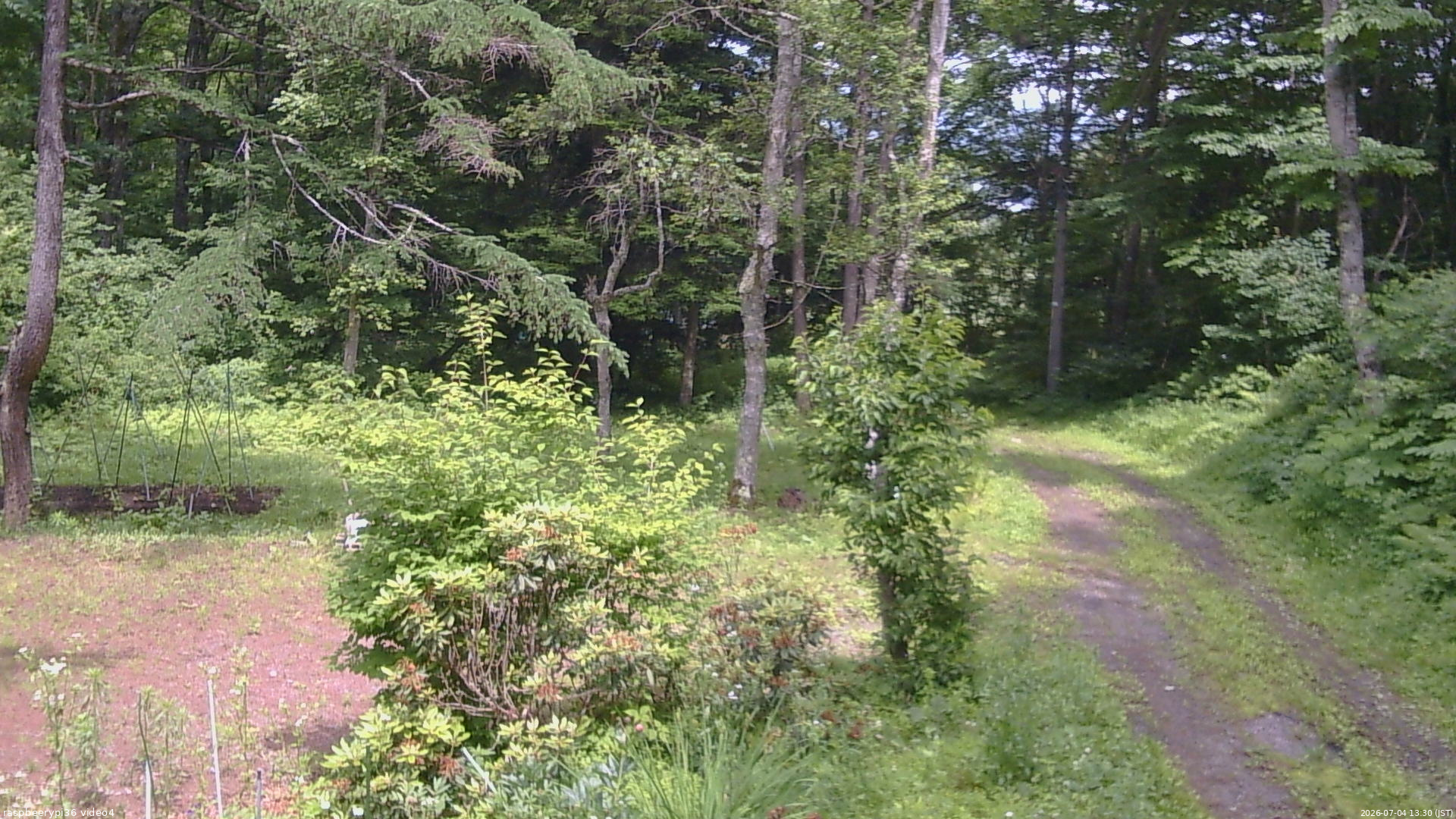 長野県菅平高原 ゆたか山荘 坂上 2026/07/04 13:30