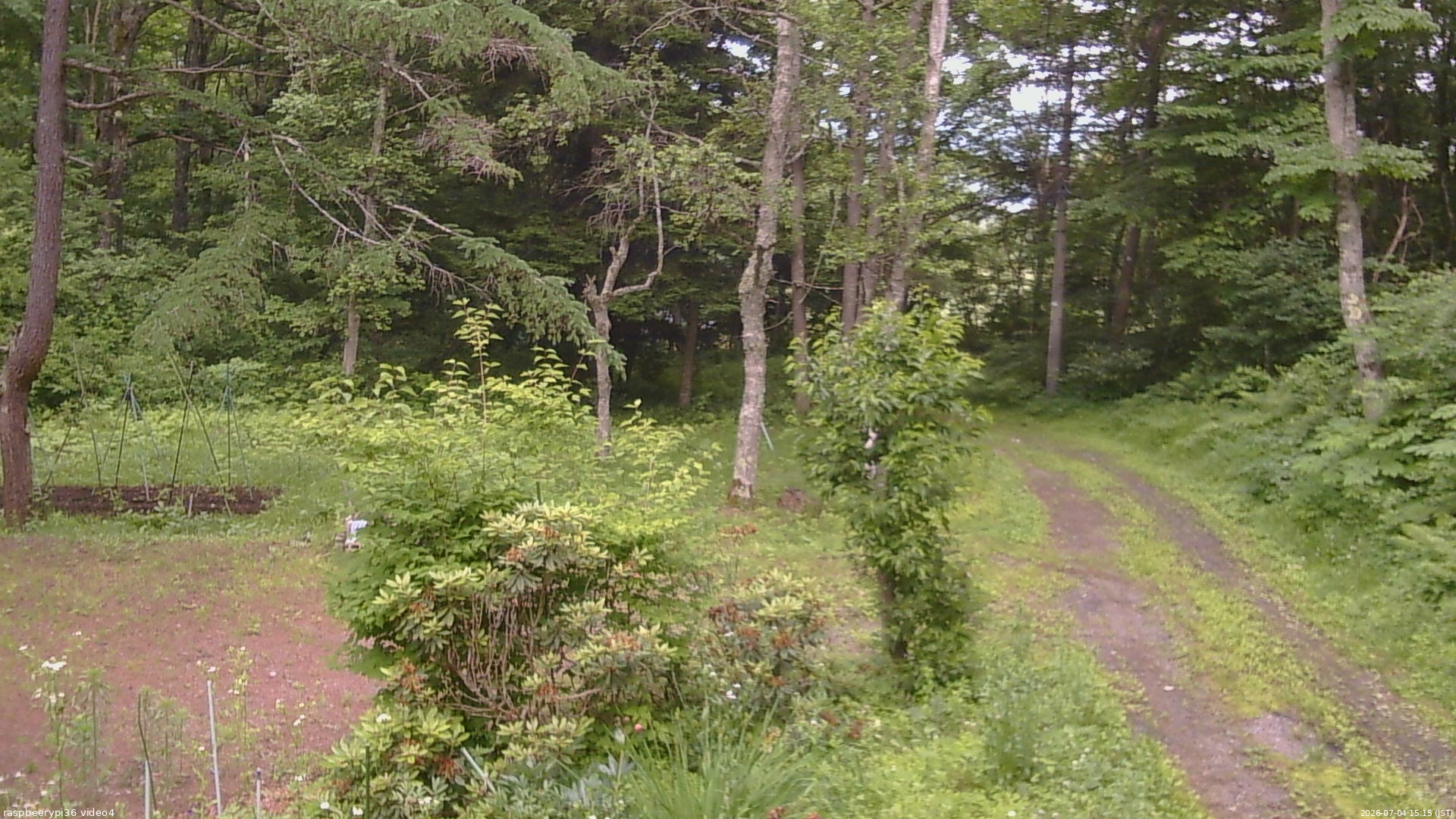 長野県菅平高原 ゆたか山荘 坂上 2026/07/04 15:15