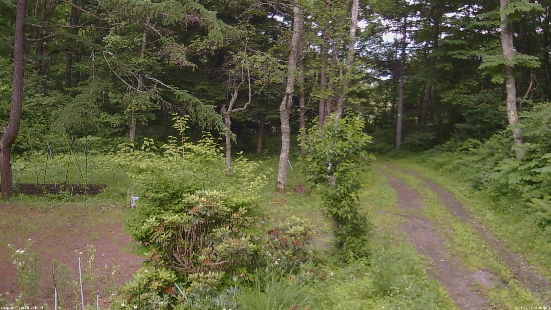 長野県菅平高原 ゆたか山荘 坂上 2026/07/04 15:30