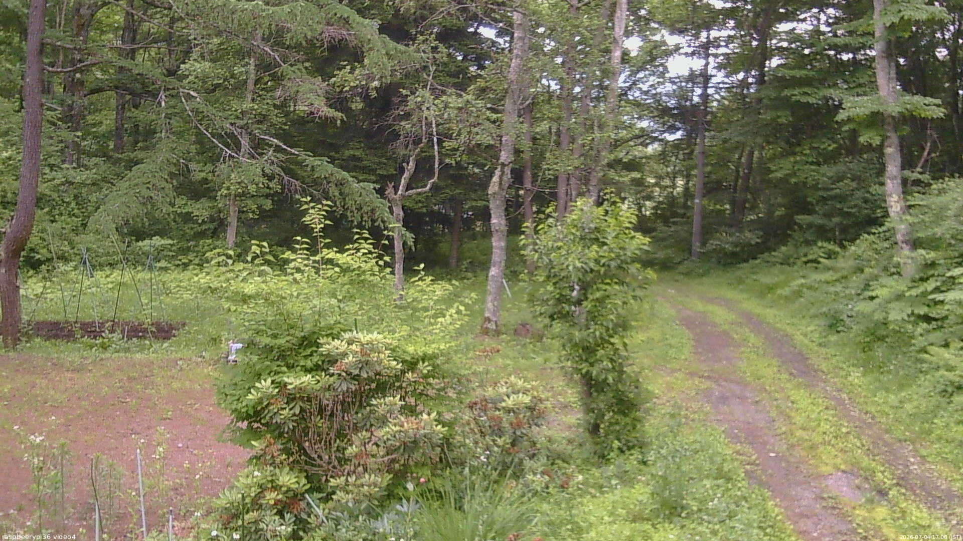 長野県菅平高原 ゆたか山荘 坂上 2026/07/04 17:00