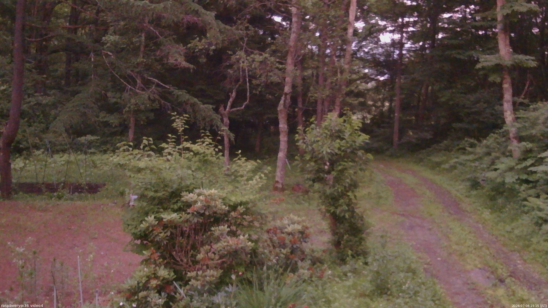 長野県菅平高原 ゆたか山荘 坂上 2026/07/04 19:15